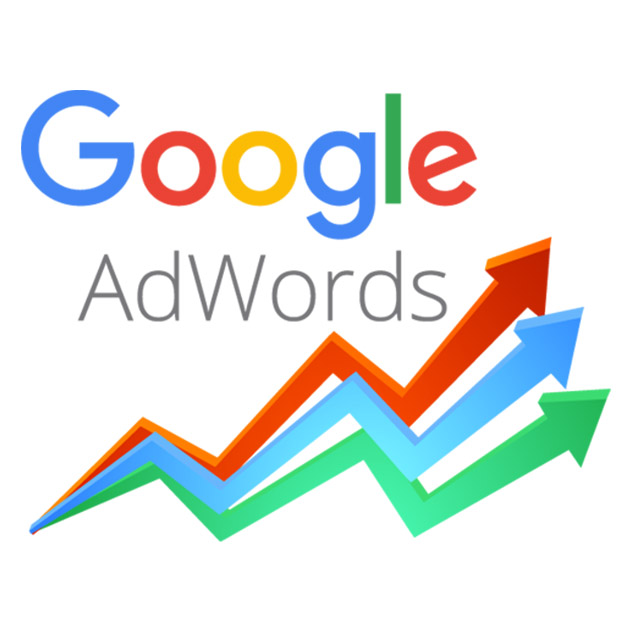 Google Advertising Agency in faridabad